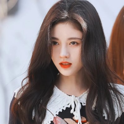 十二猴子